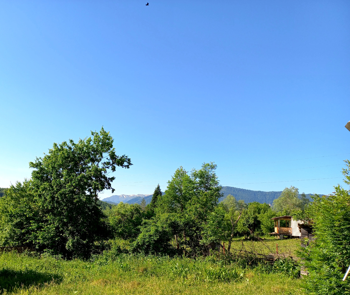 Цивилизация (фото автора)