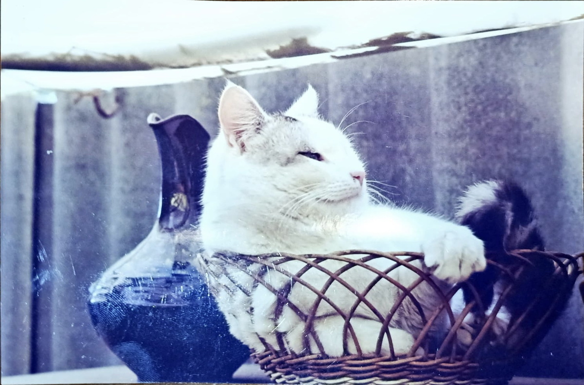 Фото из личного архива автора.