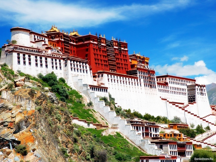 Изображение из открытых источников