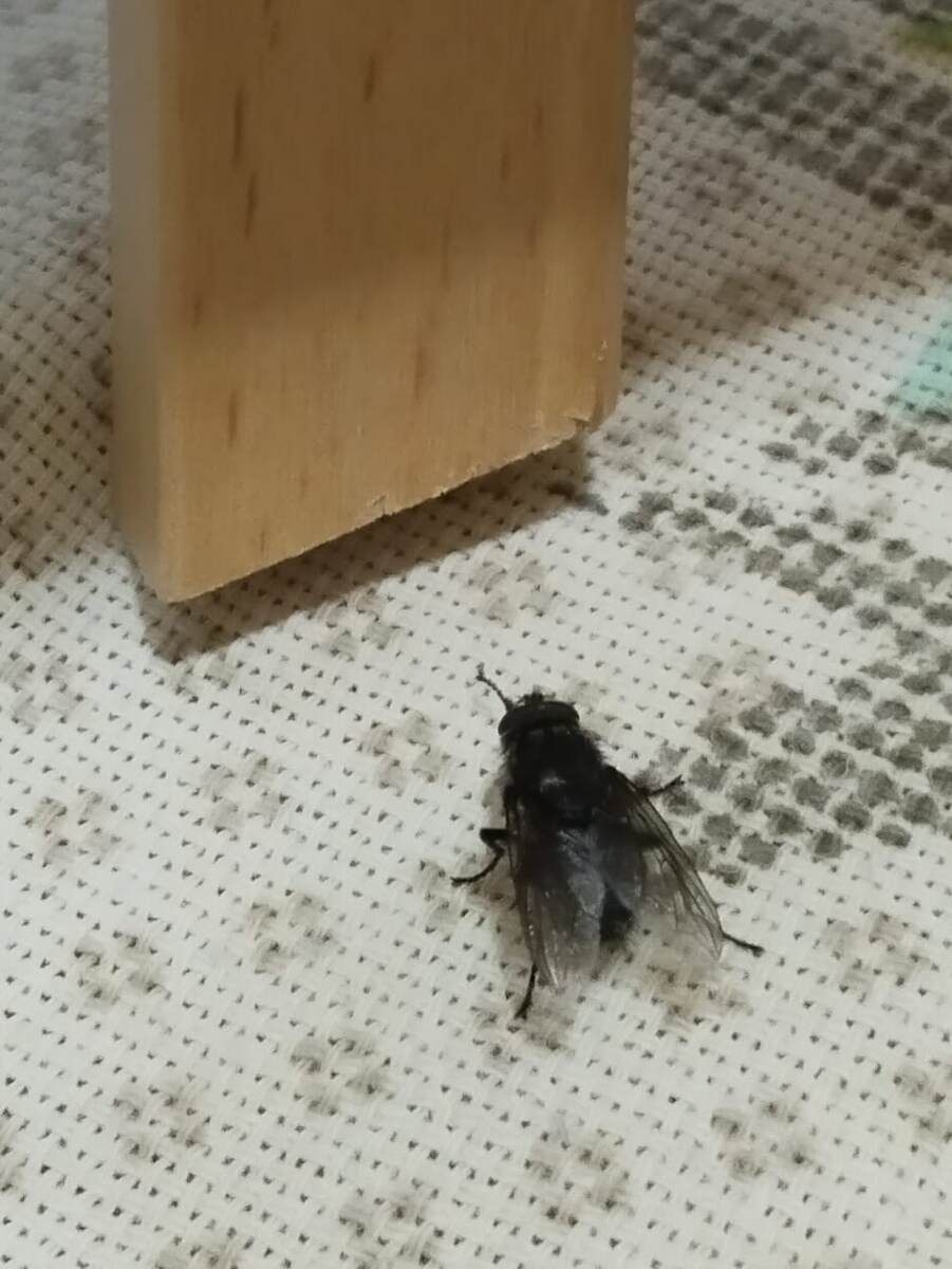 Фото Татьяны Прокофьевой