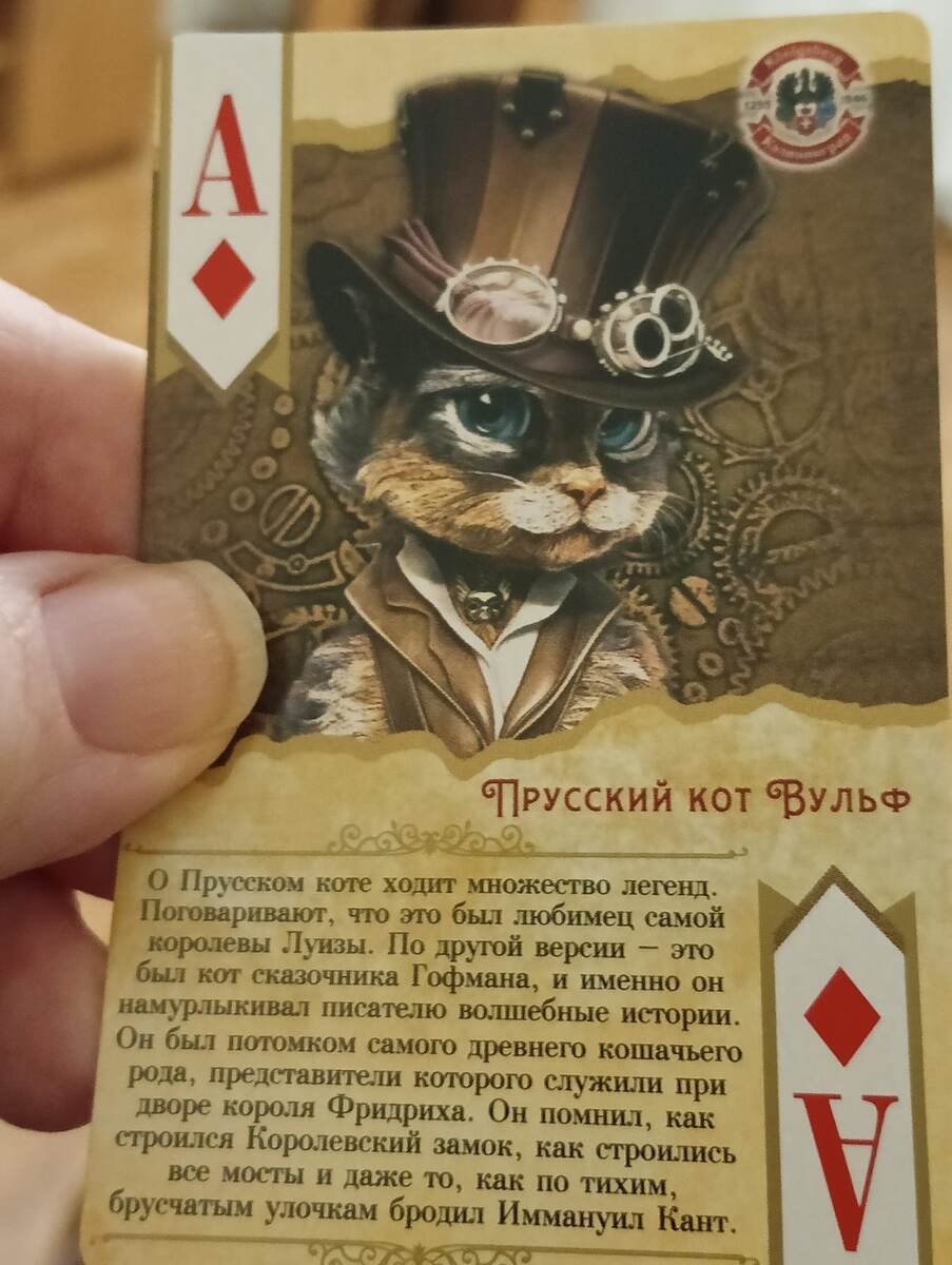 Кошки в городе кошек