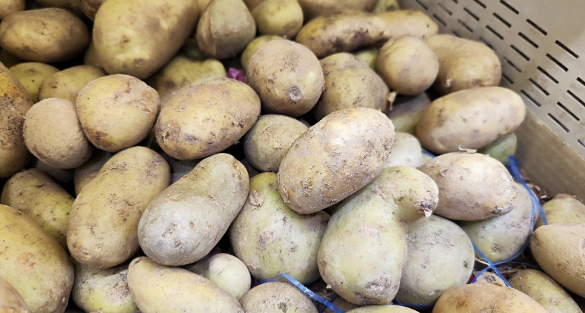    фото из архива редакции