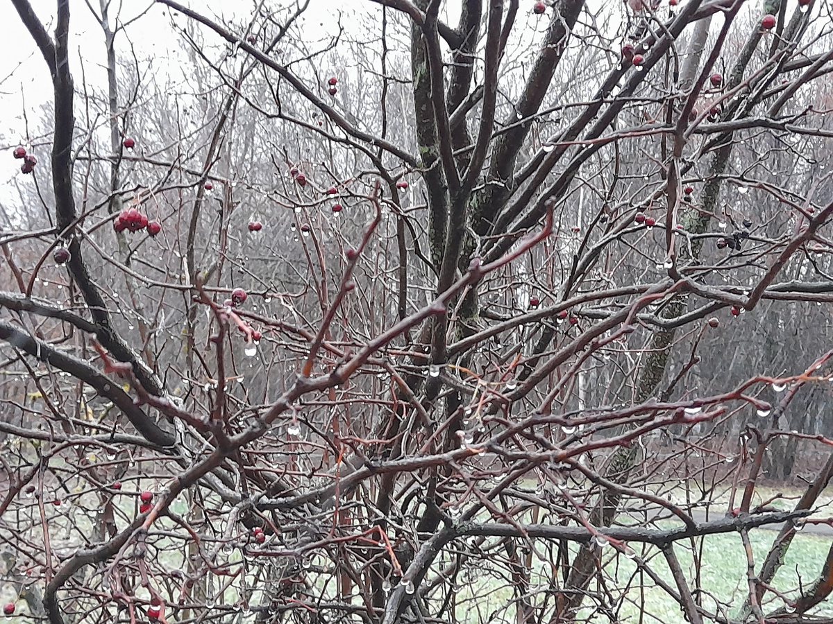 Москва. 12.12.2025