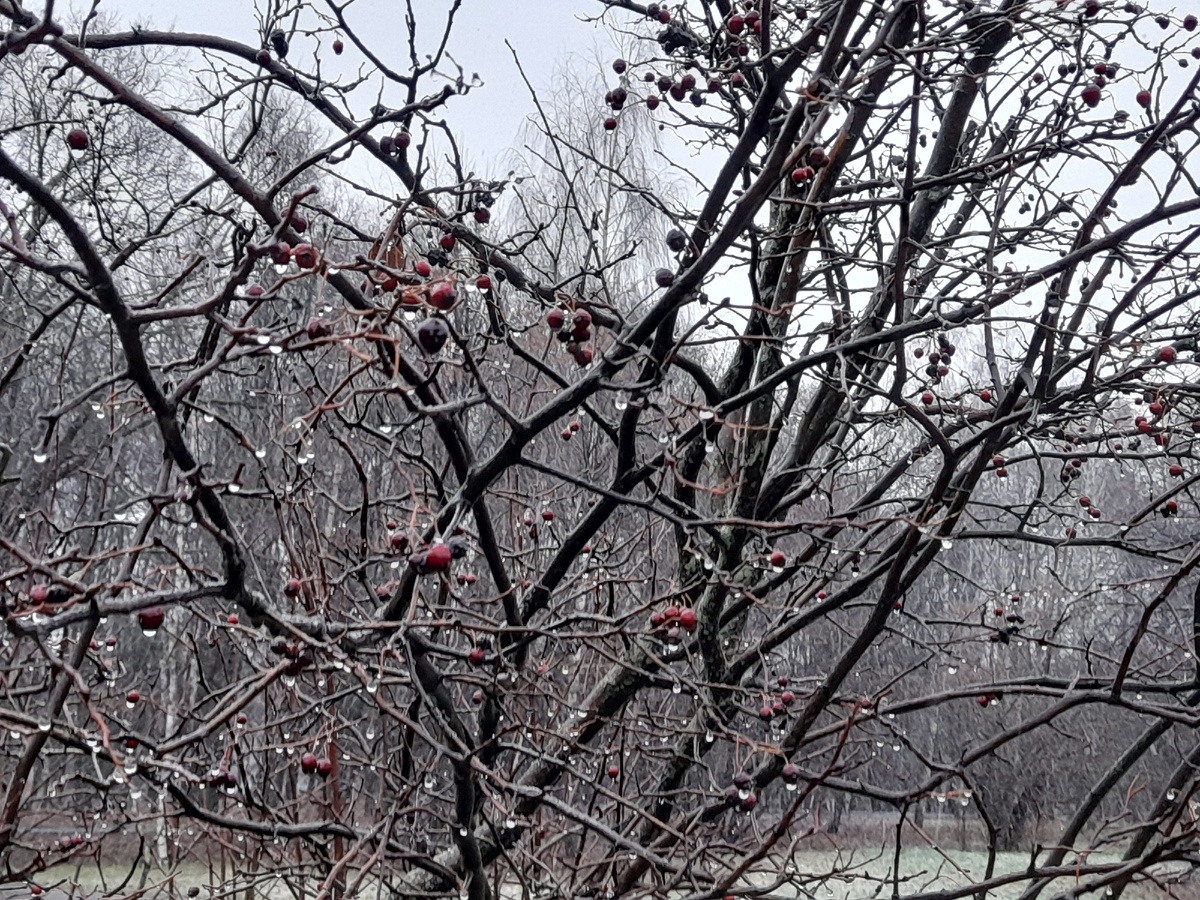 Москва. 12.12.2025