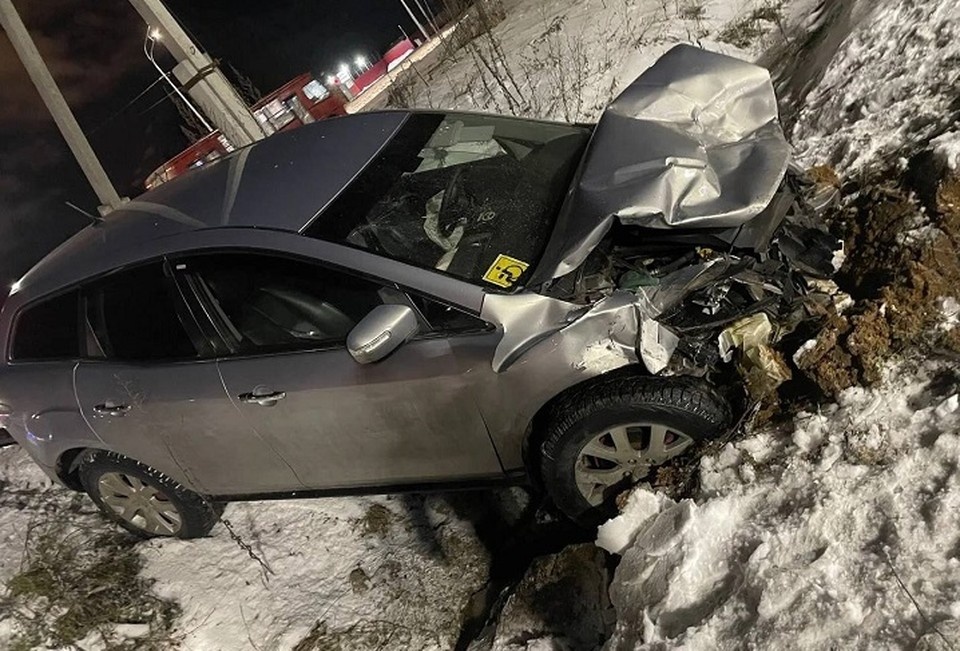    Фото: УМВД России по Вологодской области.