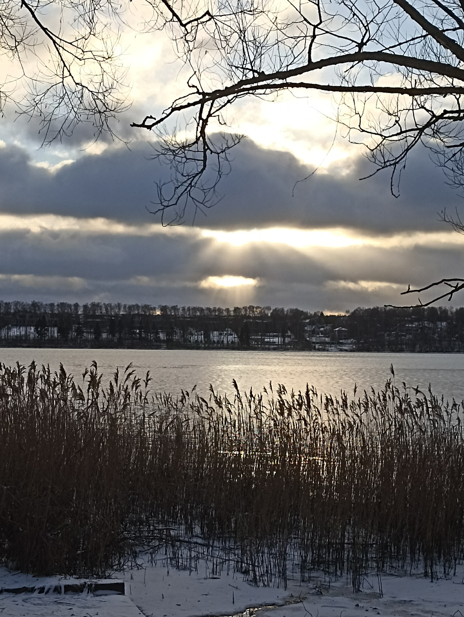 Такой вот пейзаж. Фото автора