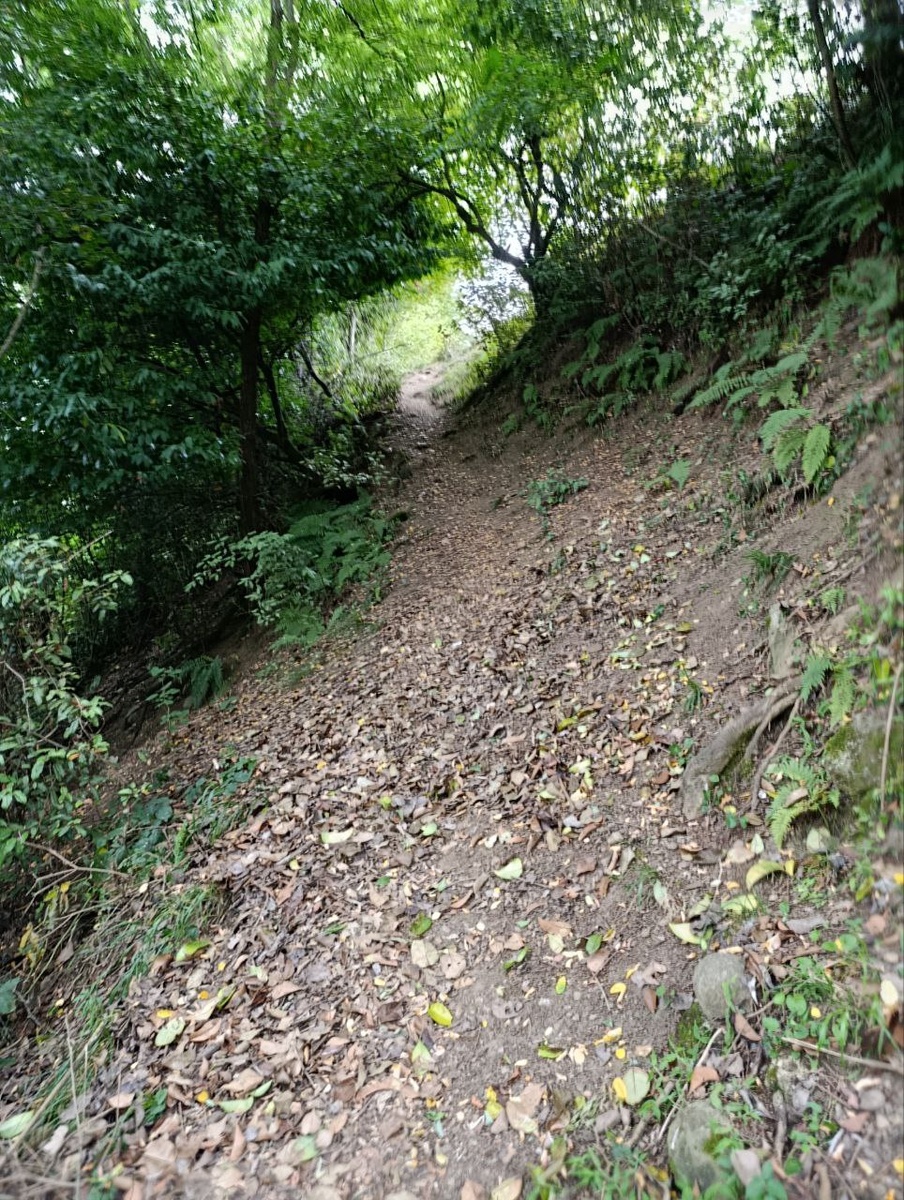 Правильная дорога - направо. Но меня понесло по этой крутой тропинке налево.