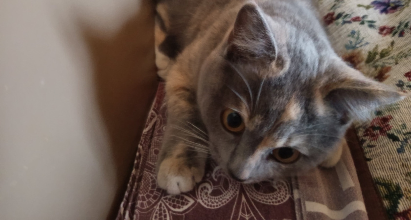    Фото из архива "Про Города"