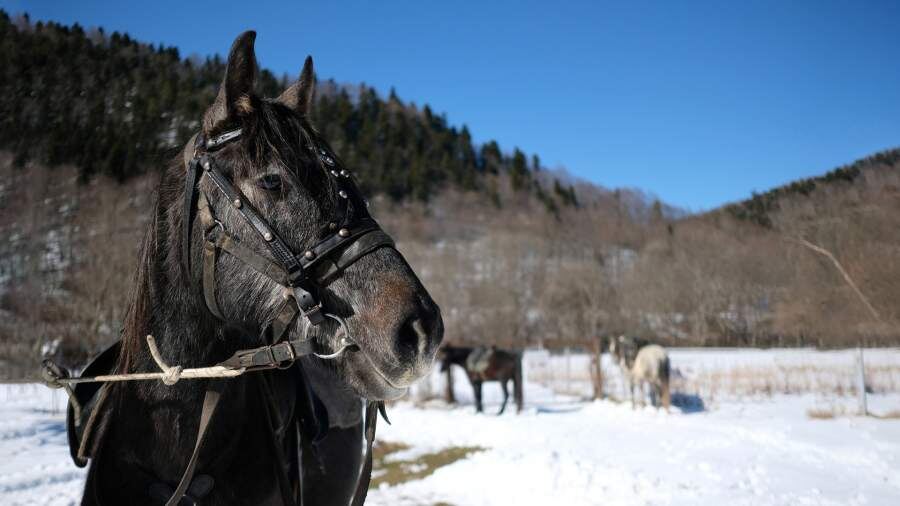    Фото: РИА Новости/Николай Хижняк