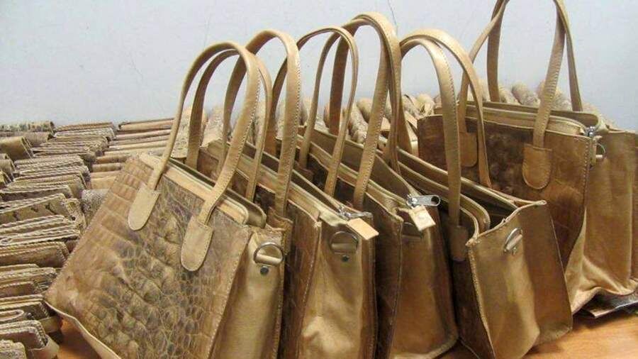    Фото: пресс-служба ФТС