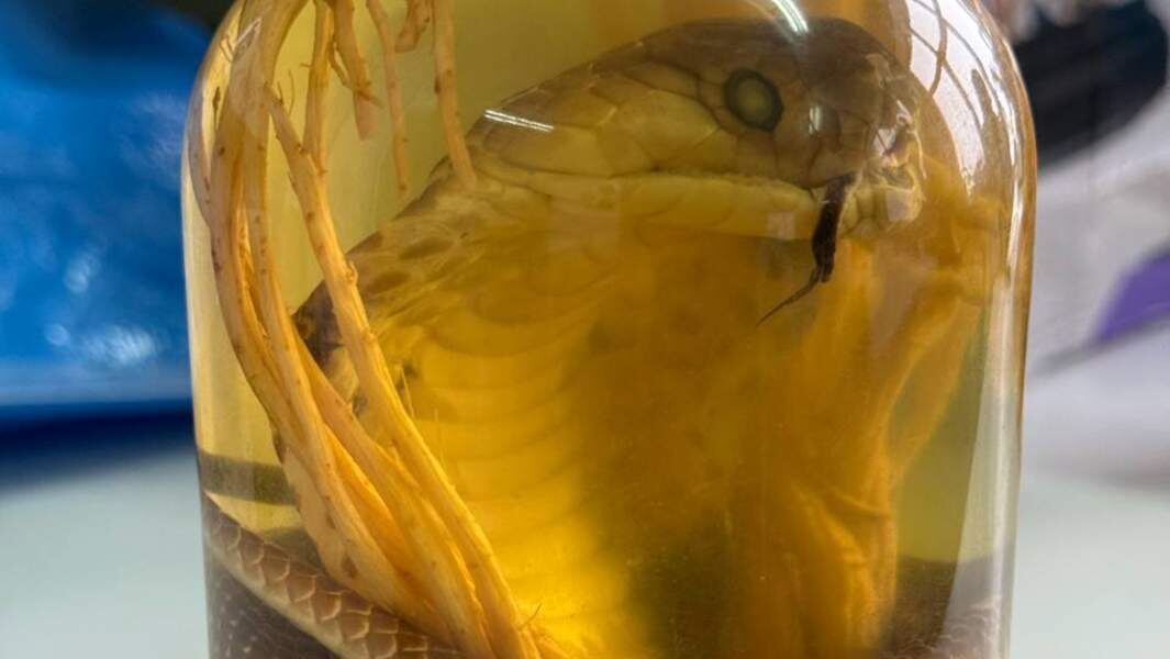    Фото: пресс-служба ФТС