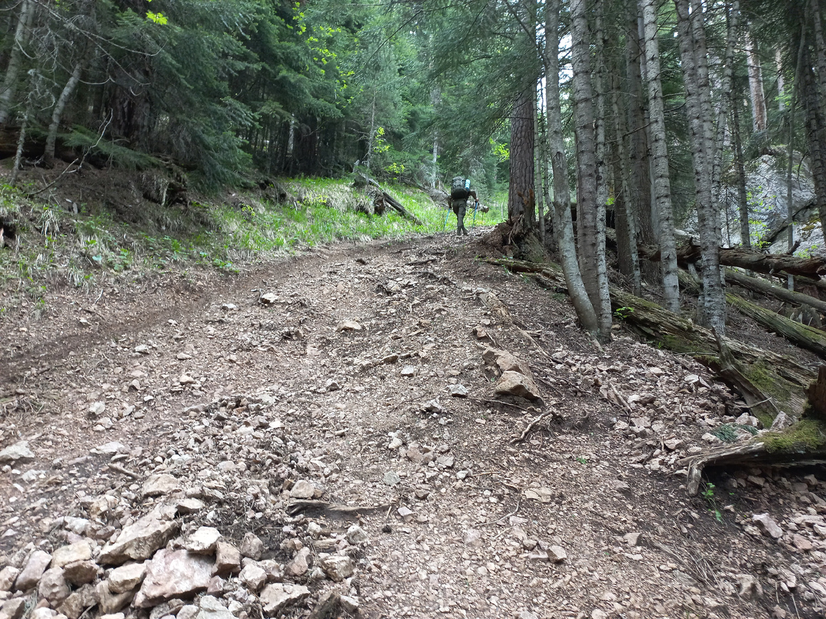 Участок дороги от места нашей стоянки до Малиновой поляны (фото автора).