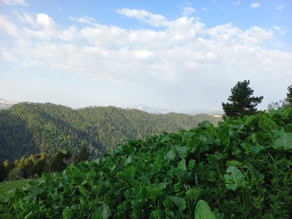 Утро на Ветряном (фото автора).
