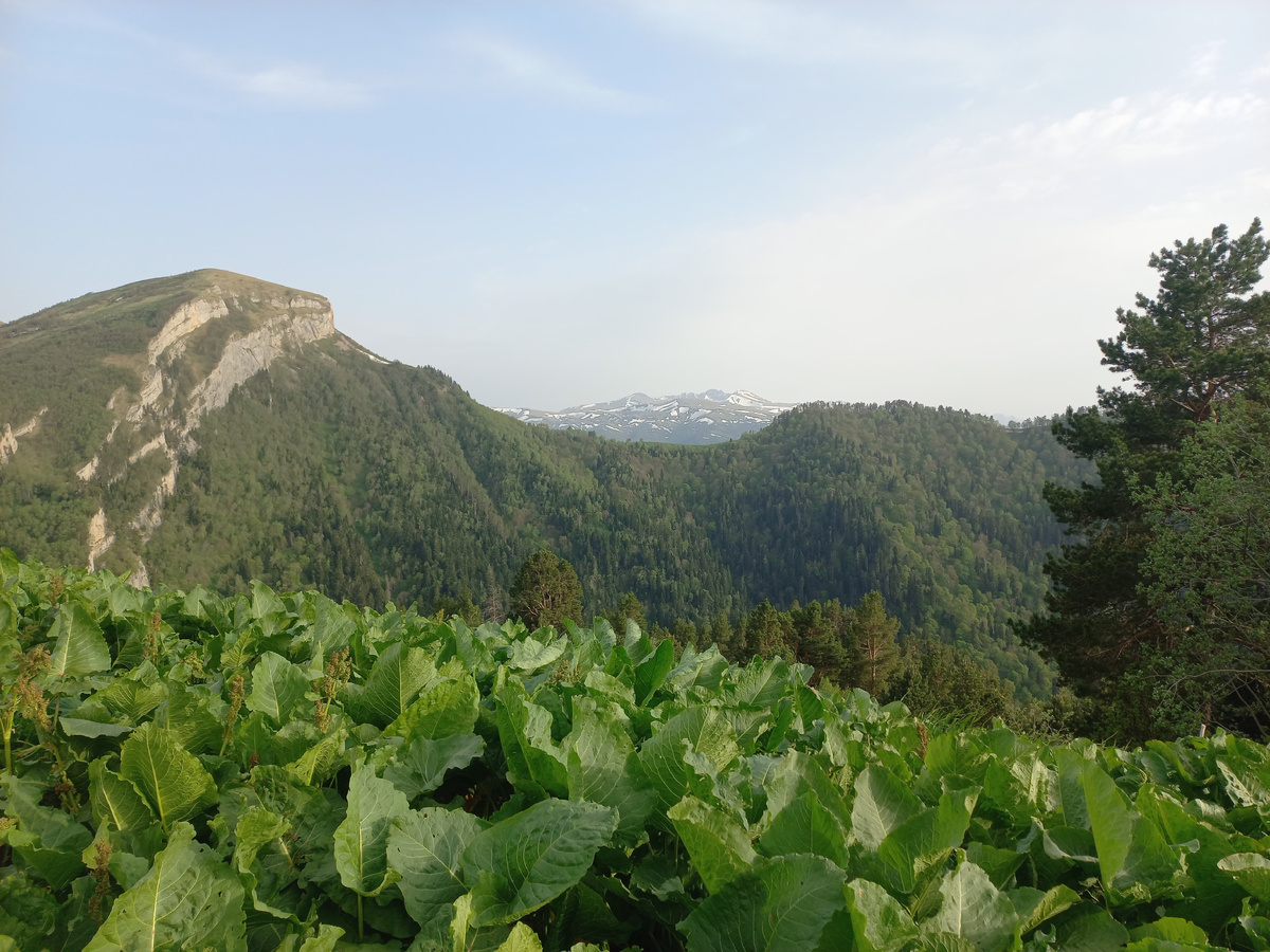 Утро на Ветряном (фото автора).