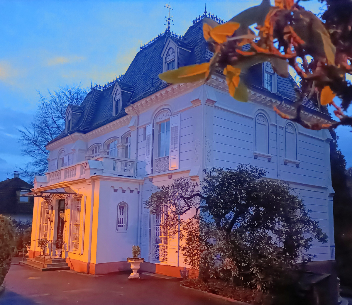 Вилла И. Тургенева. Баден -Баден. Германия. Фото автора 