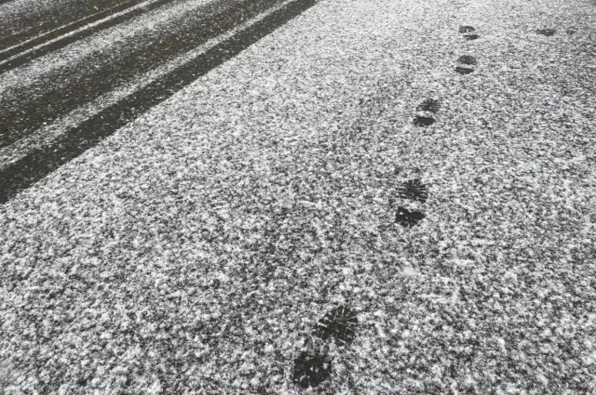    Циклон с ураганным ветром до 33 м/с обрушится на Камчатку в воскресенье