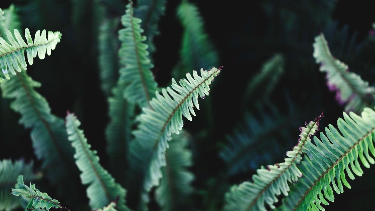     Источник: freepik.