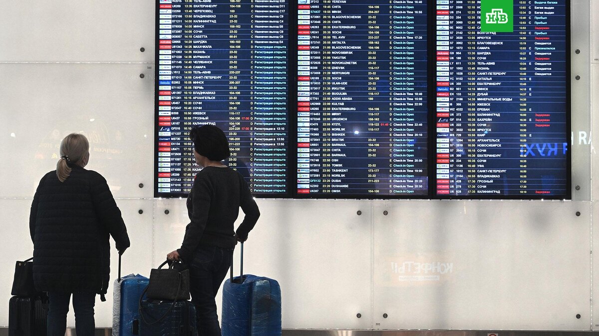    Фото: РИА Новости © 2025, Кирилл Каллиников