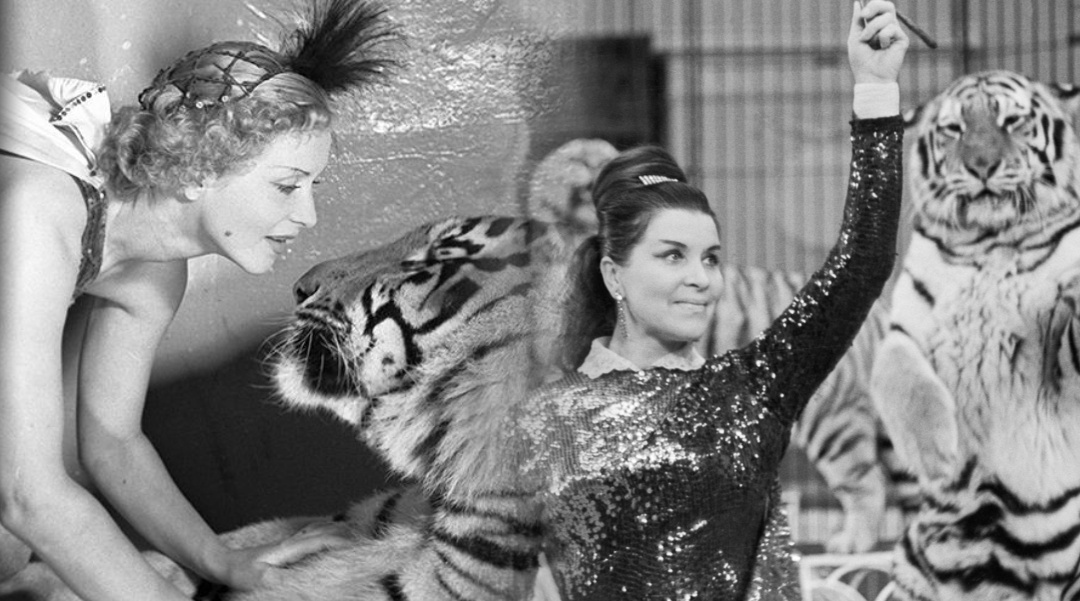 Дрессировщица и Пурш