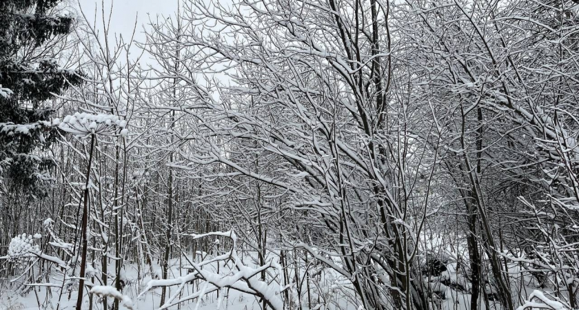    Фото из архива редакции