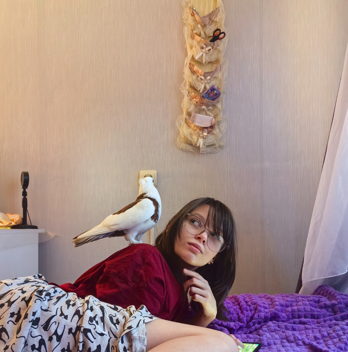 Предновогоднее Здравствуйте 👋