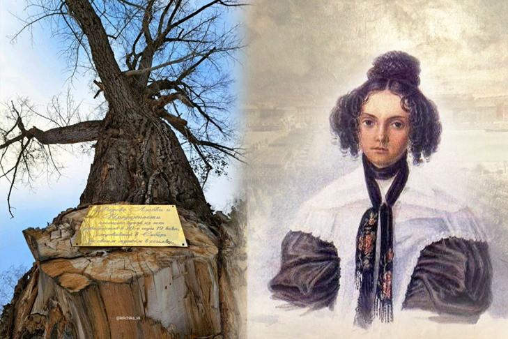    Коллаж Алексея Рыгина