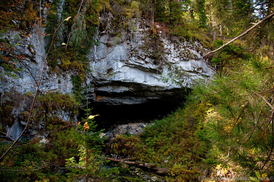 Изображение взято с сайта http://img-fotki.yandex.ru/get/6441/135463757.37/0_a73be_58a77624_XXL