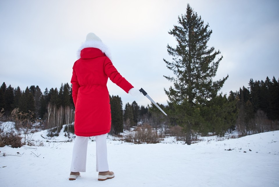    Россиянам напомнили о наказании за сруб елки, штраф составит до 500 тысяч рублей Николай ОБЕРЕМЧЕНКО