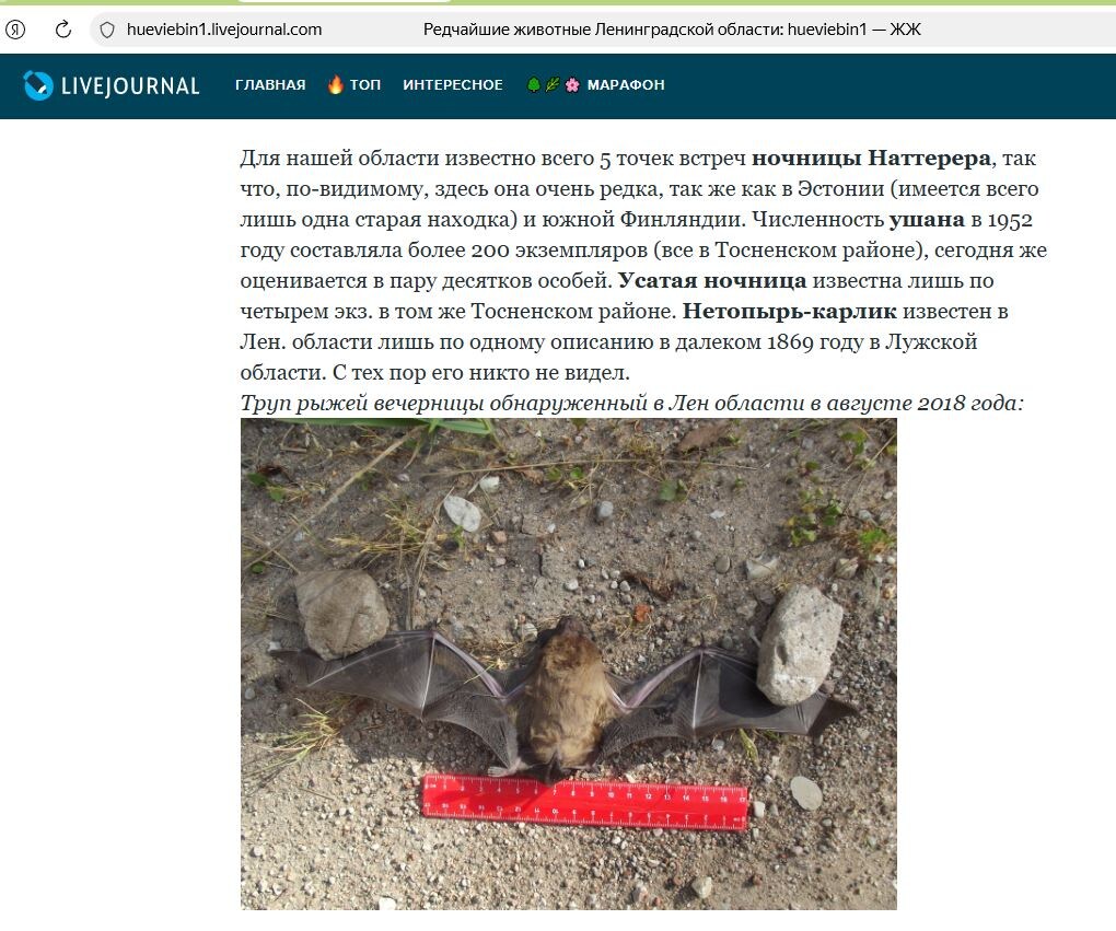 Скриншот из статьи