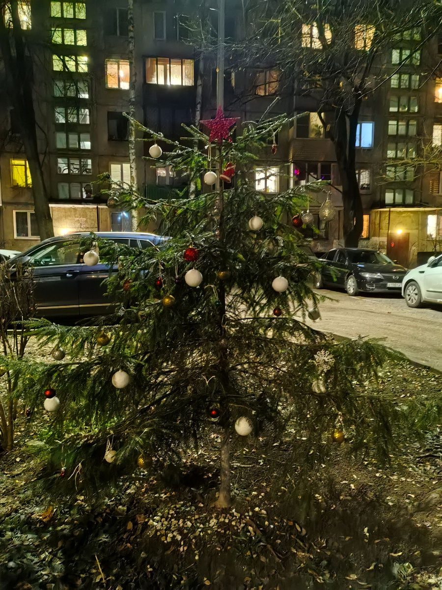 Такое чудо у меня во дворе🤗 Со звездой, как положено!) Надо будет ей мишуры на нижние ветки добавить или дождик