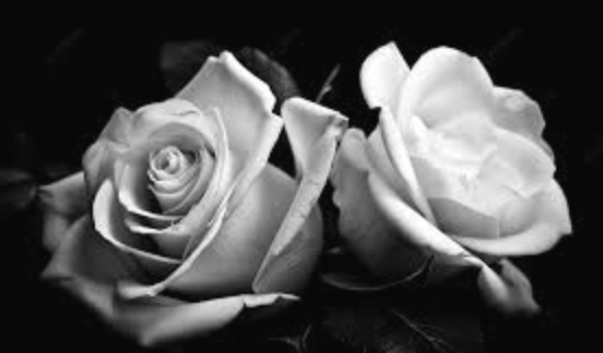 Достойно к прочтению. Без ИИ. Самопись.