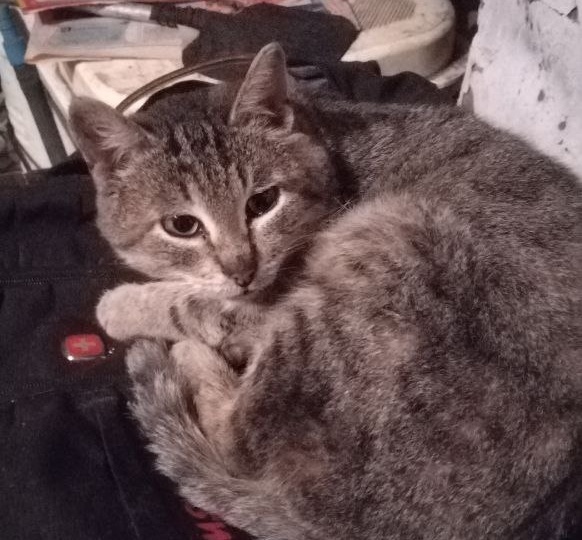 Готовимся к празднику с пустыми руками