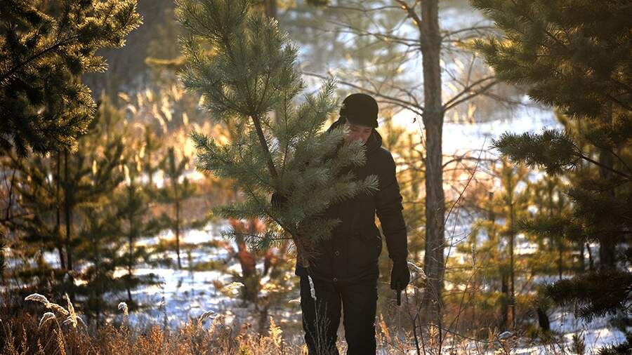    Фото: РИА Новости/Евгений Епанчинцев