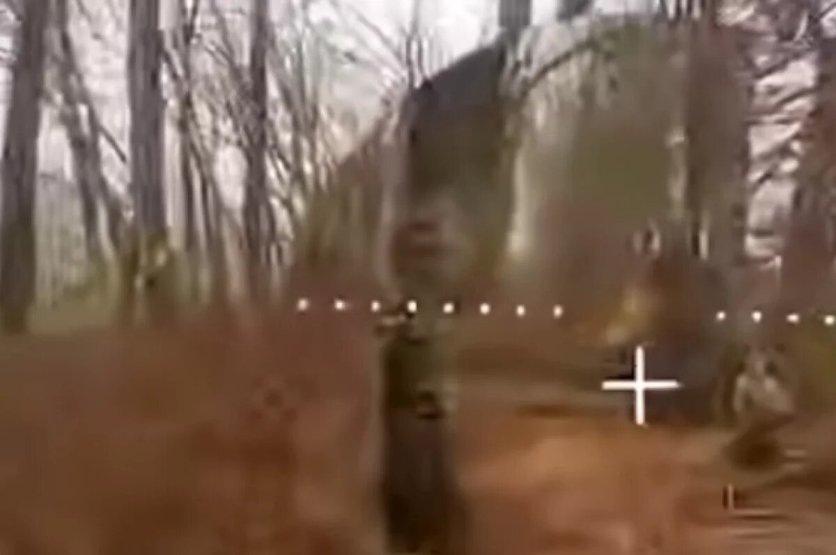    «Мгновенная карма»: FPV-дрон уничтожил боевика ВСУ после нацистского жеста