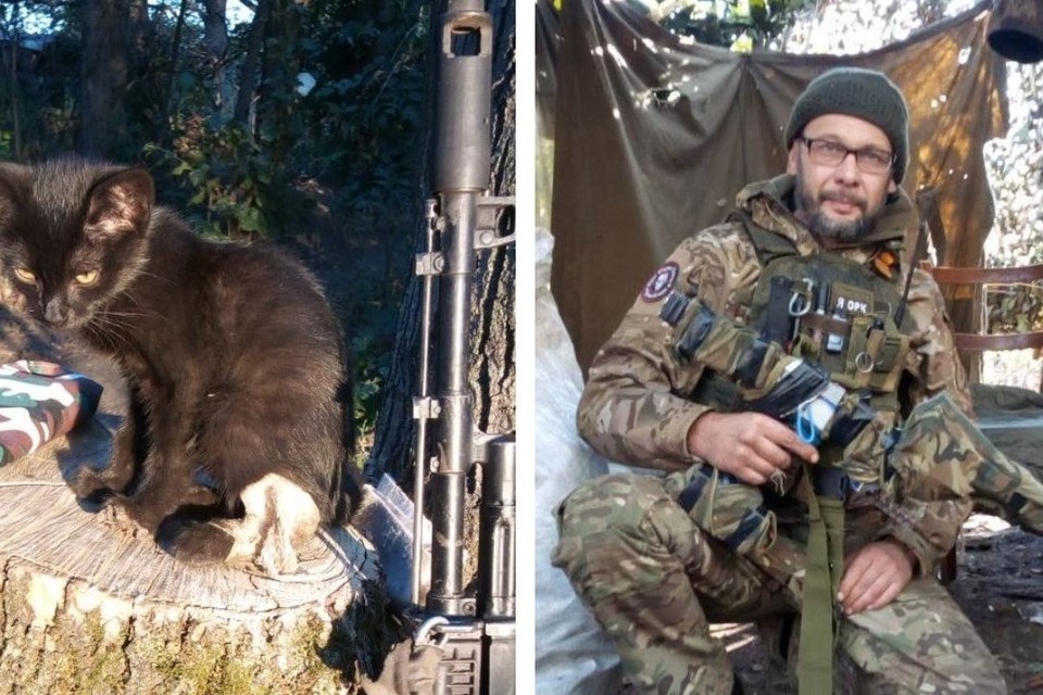    Боец СВО из Мегета спас котенка по кличке Трёхсотик. Фото: Администрация АГО.