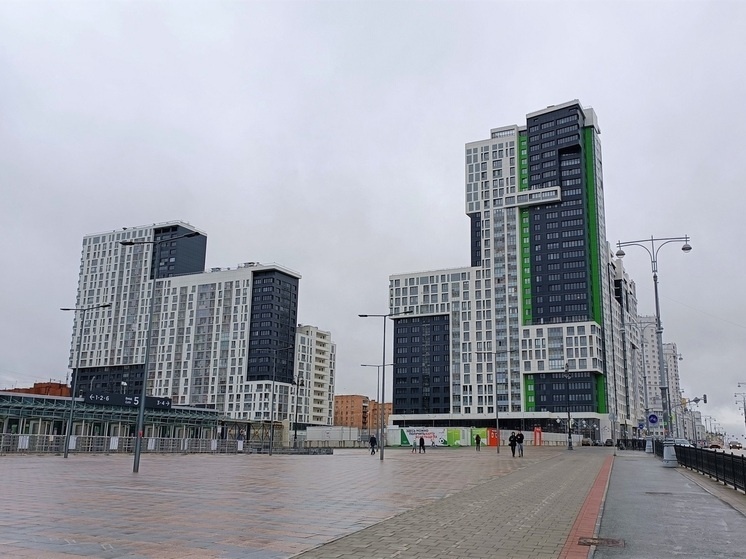     Дома рядом со стадионом "Екатеринбург Арена". Фото: Николай Курилов / МК-Урал.