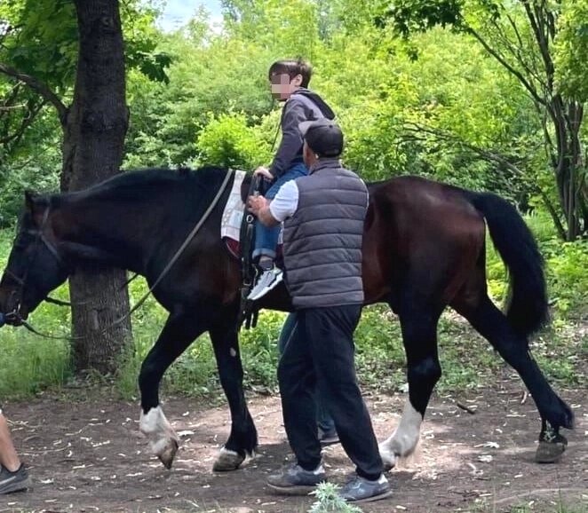    Фото: Из личного архивa/ Ренат Давлидгильдеев.