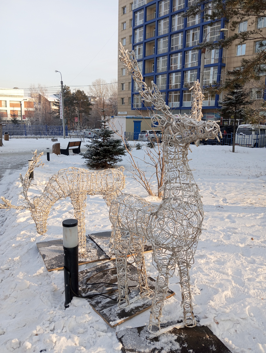 Фото автора статьи.Вот и начались приготовления к Новому году!
