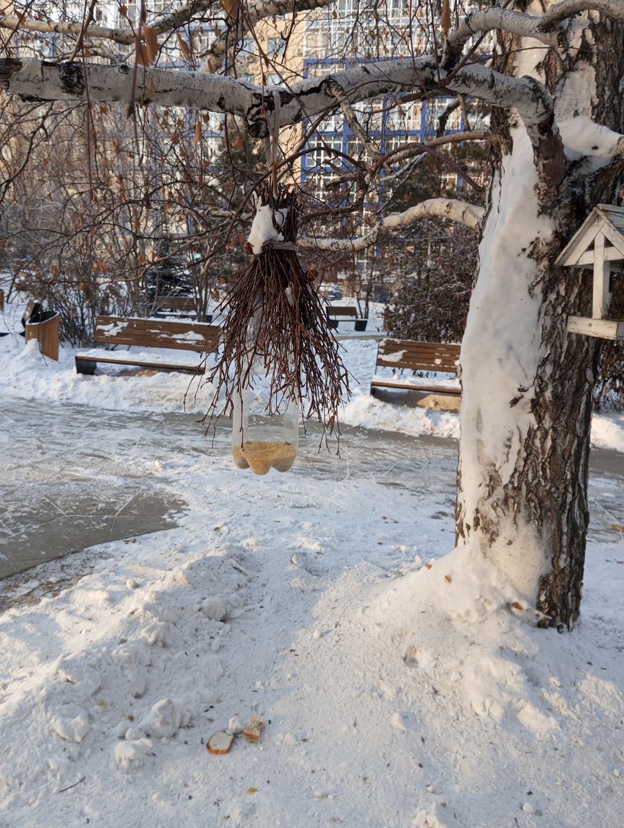 Фото автора статьи.Люди уже подкармливаюти Воробьёв и синичек.
