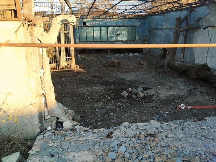 Обложка © Telegram / Евгений Балицкий