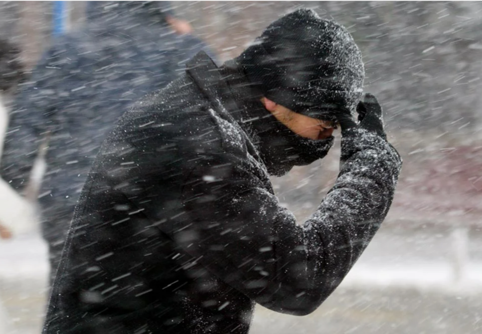    фото: profile.ru Редактор