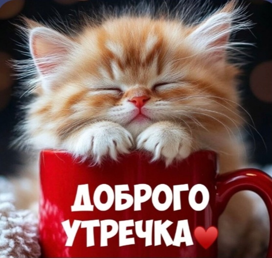 Фото из  интернета.