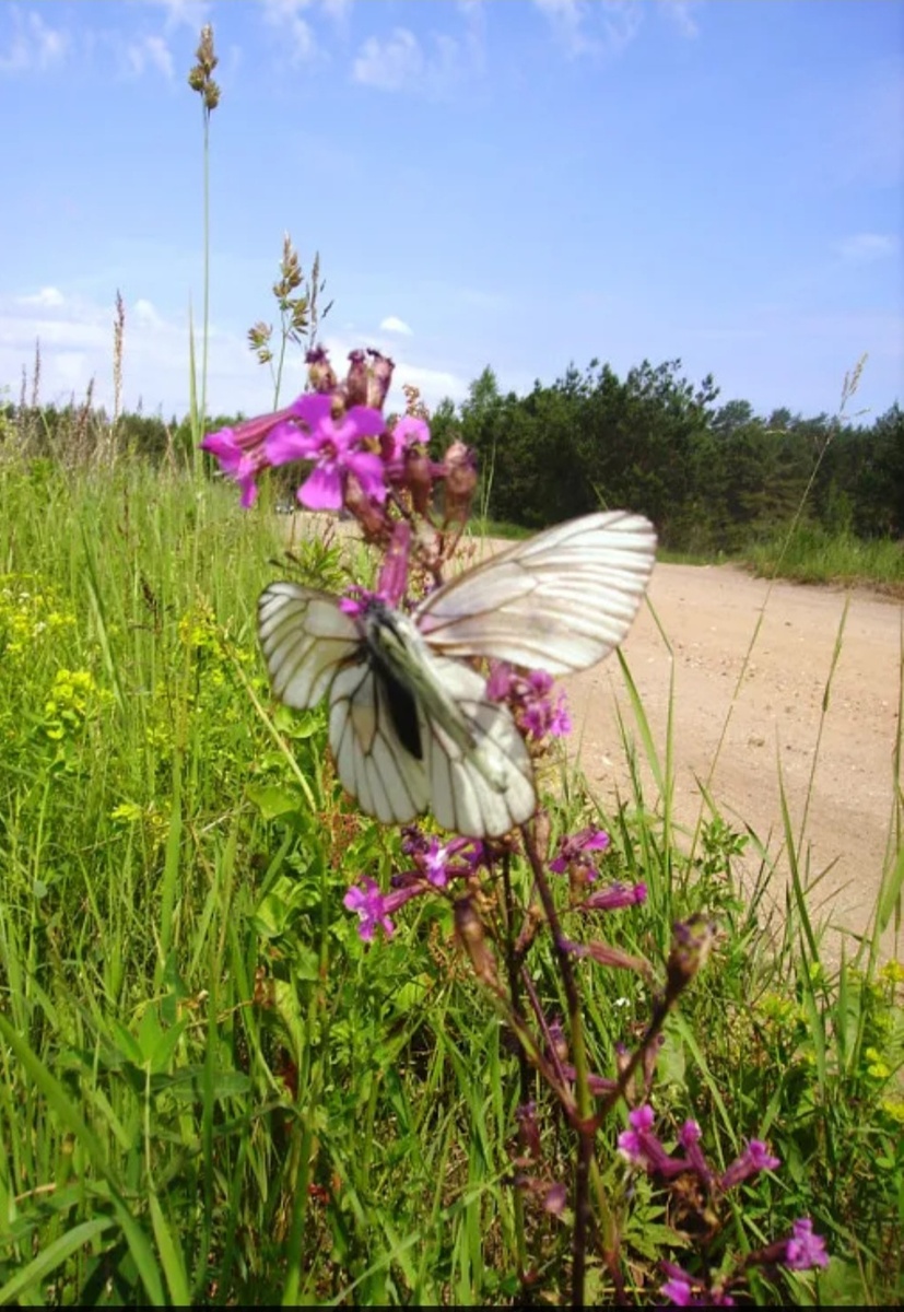 Фото автора.