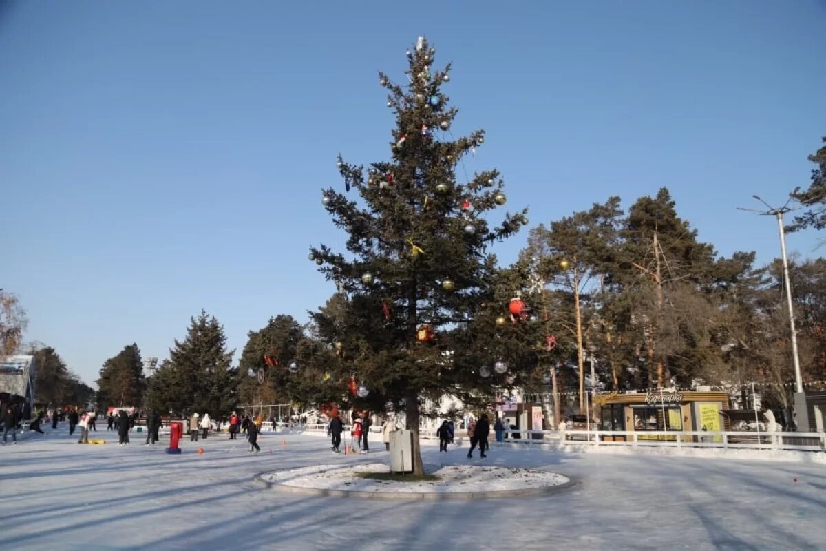    Крупнейший на Дальнем Востоке каток открылся в Хабаровске