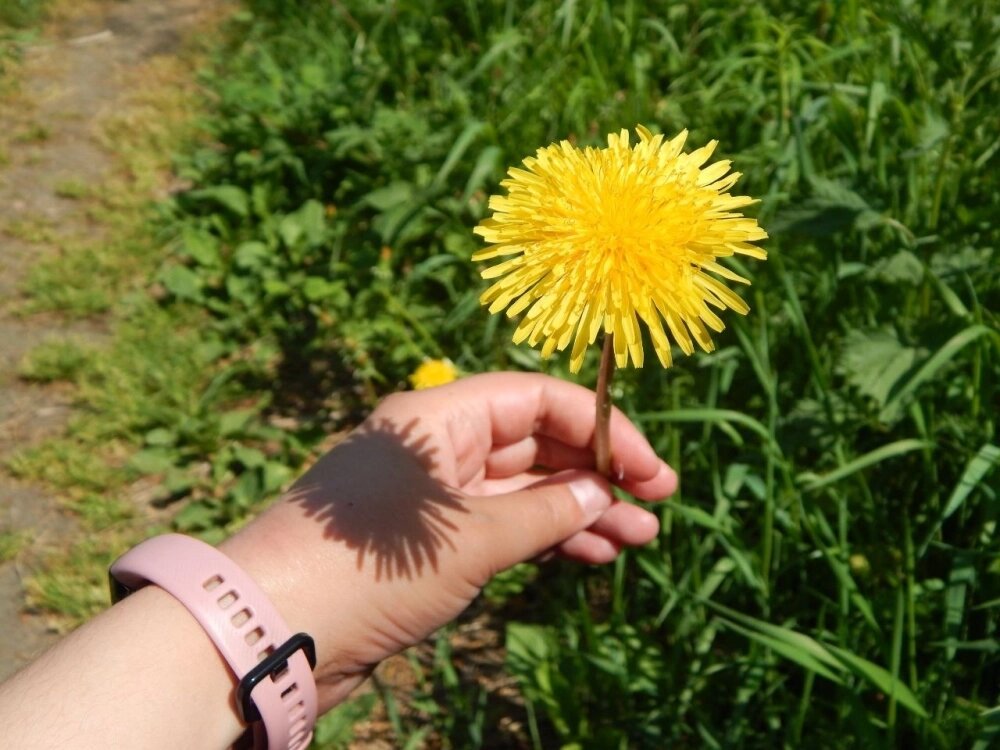    С самого раннего детства девушка привыкла наблюдать за растениями и животными. Фото: «АиФ-Урал»/ Дарья Попович