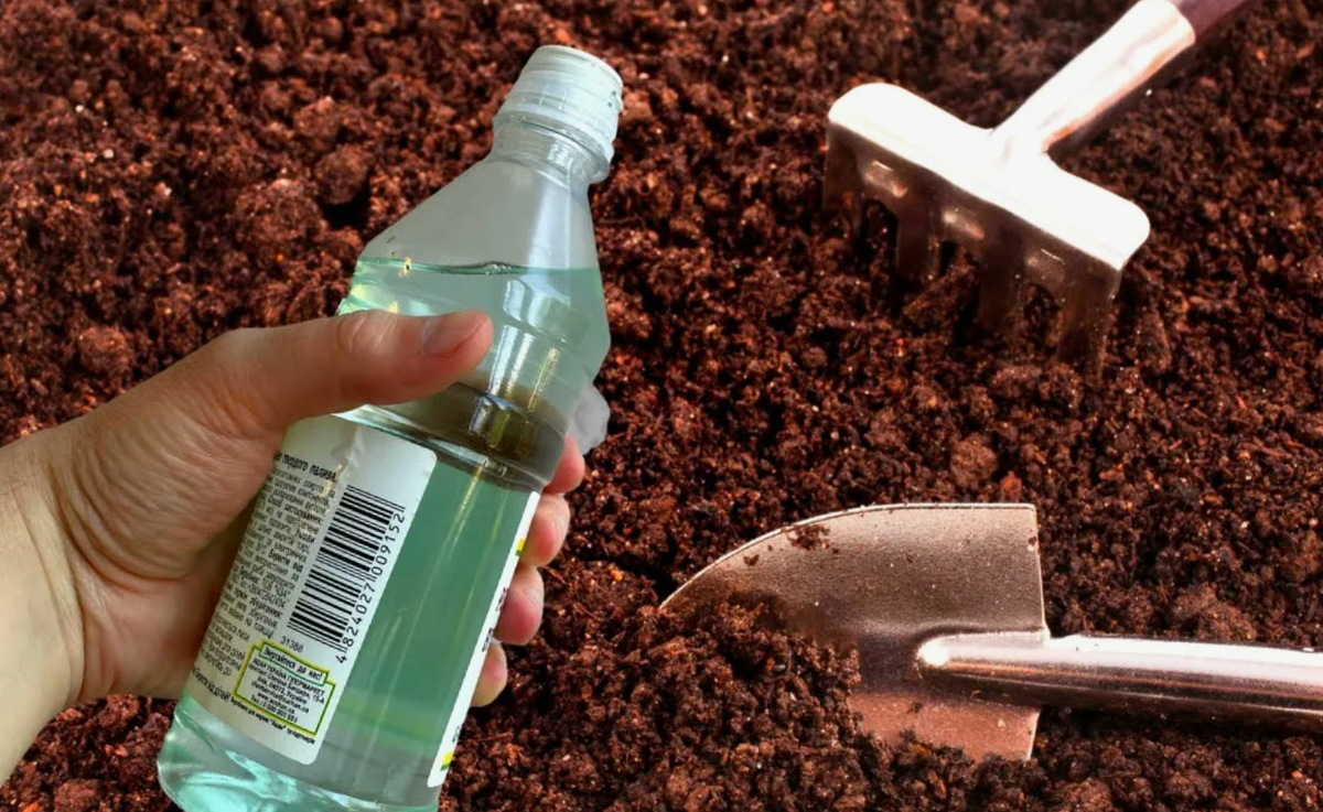 Источник фото: youtube.com