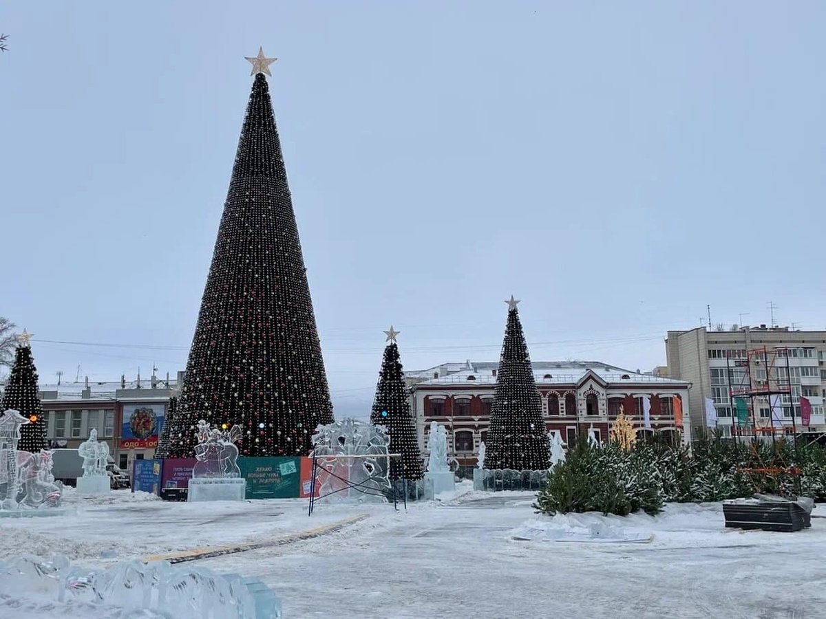    Фото: Марина Куцина