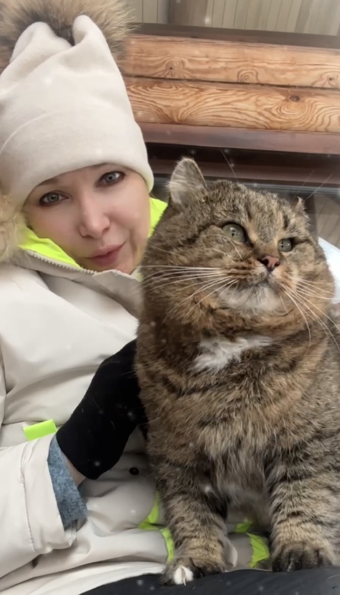 Кот Барсик и Таня