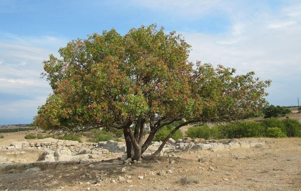 Общий вид на героя