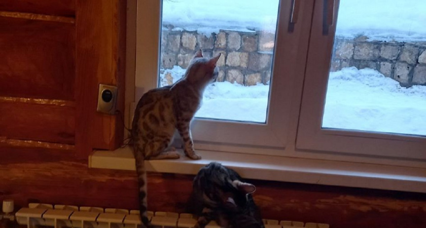    Фото Анастасии Дмитриевой